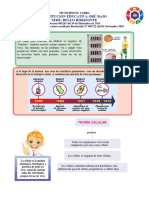 La Célula para Quinto Grado de Primaria