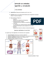 La Nutrición en Los Animales