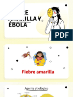 Fiebre Amarilla y Ébola