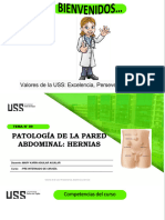 Clase Patologia de La Pared Abdominal-Hernias