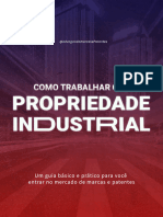 Como Trabalhar Com PI - Guia Básico e Prático para Propriedade Industrial