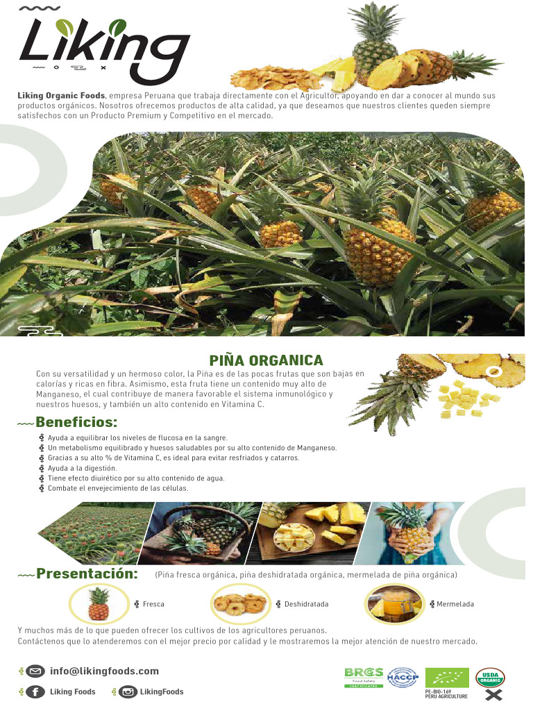 Piña Orgánica Peruana: Calidad Premium | PDF