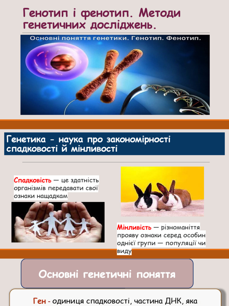 Генетика Як Наука. - генотип і Фенотип. | PDF