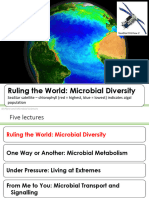 Ruling The World: Microbial Diversity