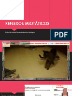 Reflexos Miotáticos 2023