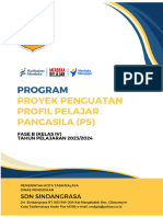 01 Program P5