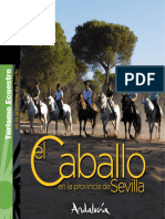 Sevilla Guia TurismoEcuestre 2019