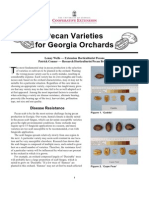 Pecan Varieties For Georgia Orchards: Disease Resistance