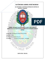 Investigacion Mary Choque - Rau e Ipia