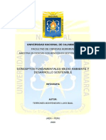 Infografía Sobre Medio Ambiente y Desarrollo Sostenible Terrones Montenegro Luhx Baal