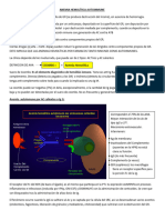 Comparto Anemia Hemolitica Autoinmune Con Usted