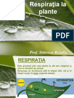 Respiratialaplante 200211063943