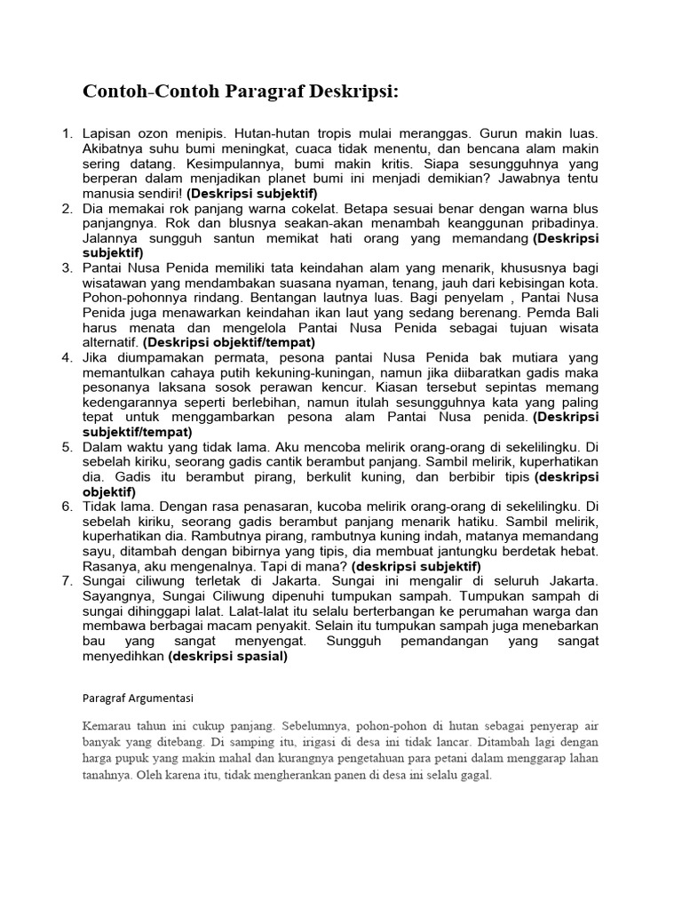 Contoh Paragraf Deskripsi Beragam | PDF