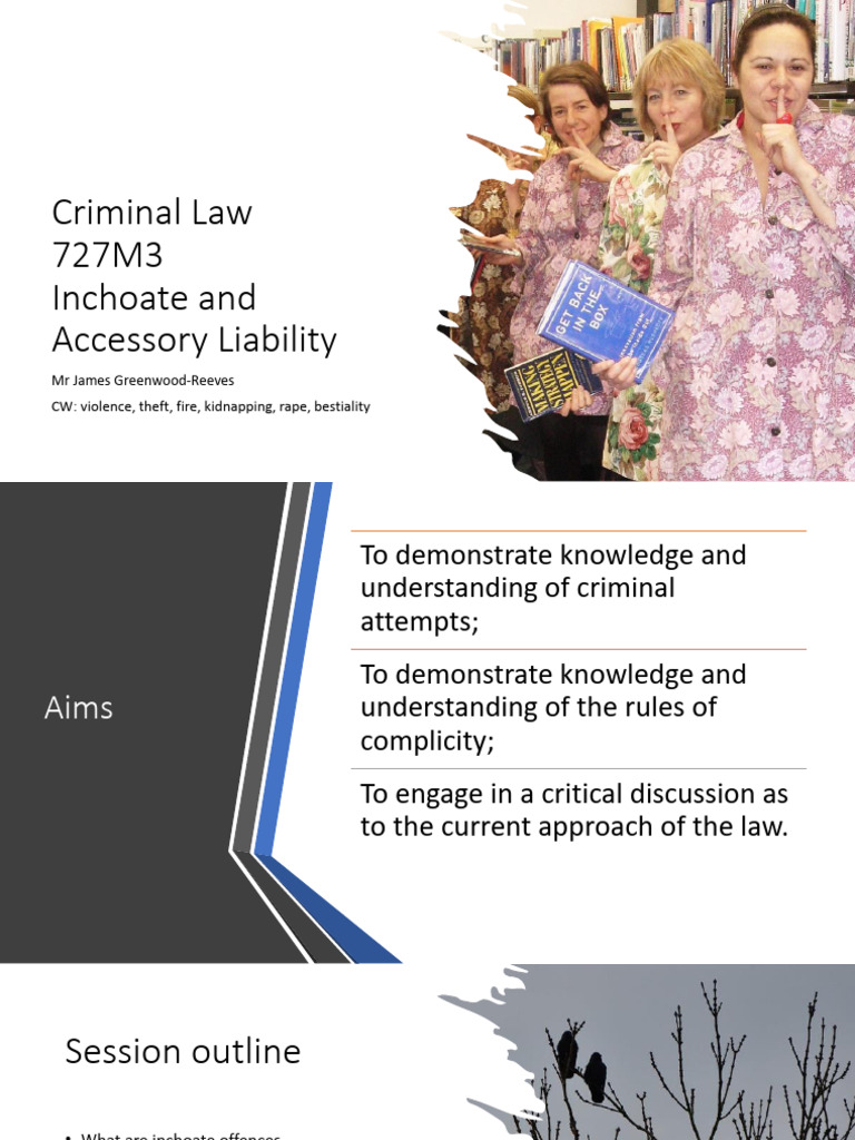 Criminal Law Inchoate and Accessory Slides 2022 PDF Crimes Crime