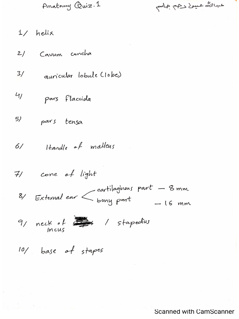 HUMAN ANATOMY QUIZZES PRACTICE FOR YOUR EXAMS visual data 6