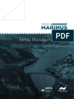 Project Marnius Initial Feasibility Report Overview Feb 2019
