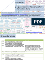 2.1 Molecules To Metabolism