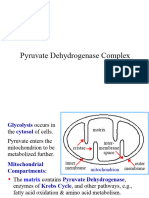 Pyruvate Dehydrogenase Complex: Biochemistry