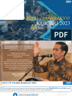 V3 - Kur Bri 2023 (Ext)