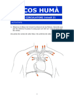 Circulatori