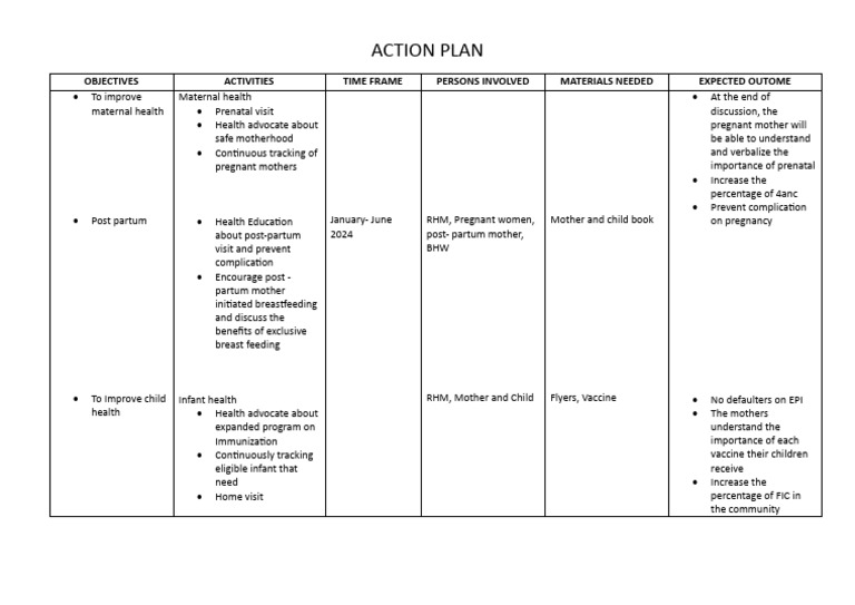 ACTION PLAN 2024 PDF