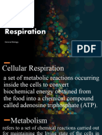 Lesson 14 Cellular Respiration