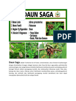 Daun Saga