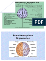 Brain Parts