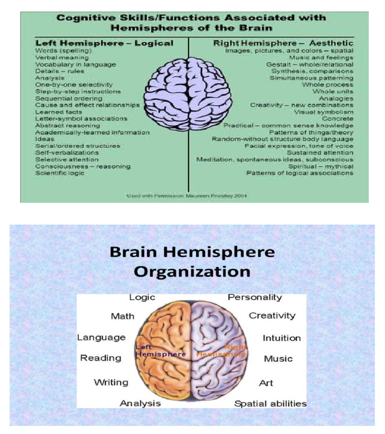 BRAIN PARTS AND FUNCTIONS PSYCHOLOGY PDF visual data 2
