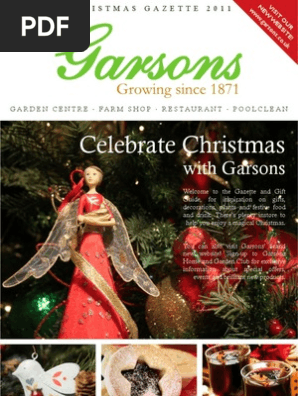 Esher Christmas Gazette 2011