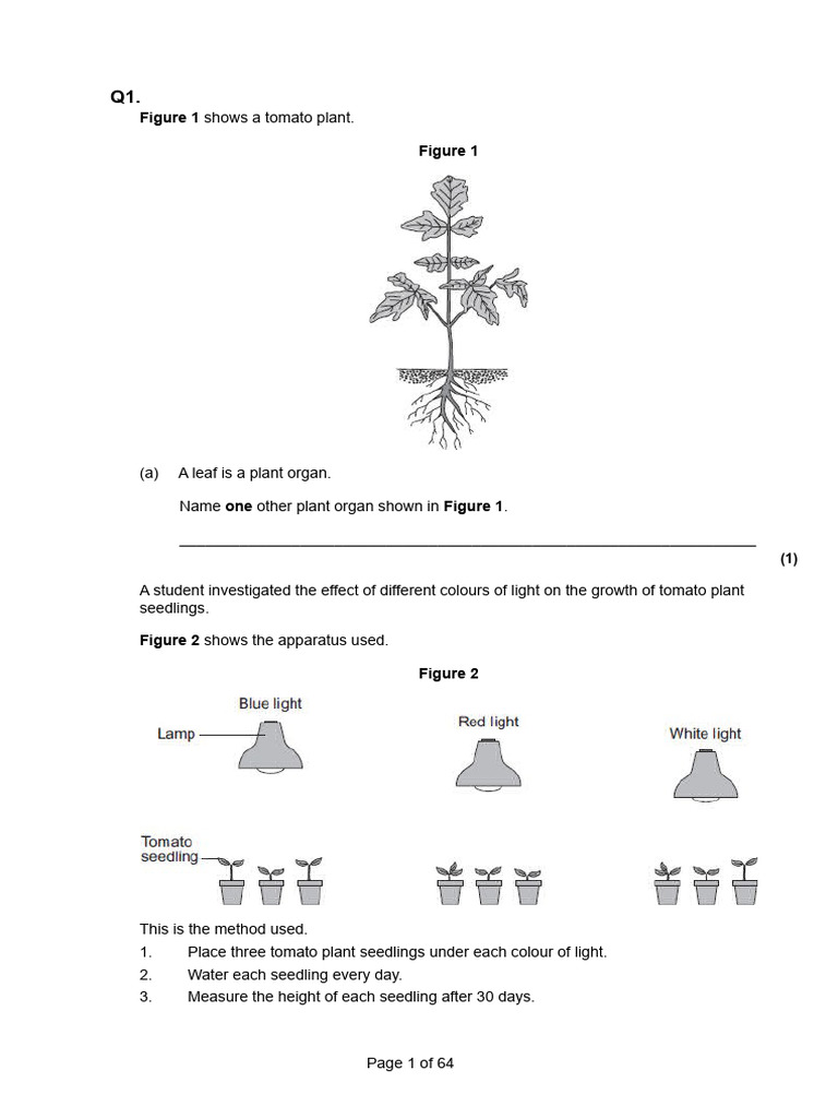 Effects of Light on Plant Growth and Photosynthesis | PDF ...
