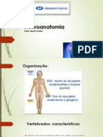 Aula 1 - Neuroanatomia