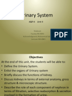 Unit 2 Urinary System, Educational Platform