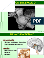 Aula 04 - Tronco Encefalico