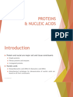 SPECIALSTAIN3. Protein Nucleic Acids