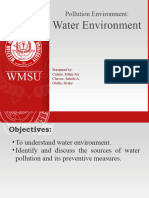 Water Pollution Report Final