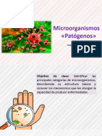 Conceptos Generalaes de Microorganismos