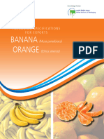 Brochure 06 Banana & Orange
