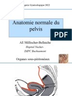 Anatomie App Genital Feminin