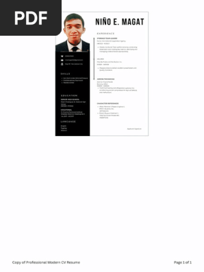 Copy of Professional Modern CV Resume_20240202_064228_0000