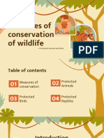 Measures of Conservation of Wildlife - Protected Animals and Birds