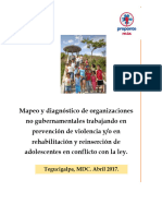 Mapeo y Diagnstico de Organizaciones Trabajando Con Niez Infractora 22.4.2017