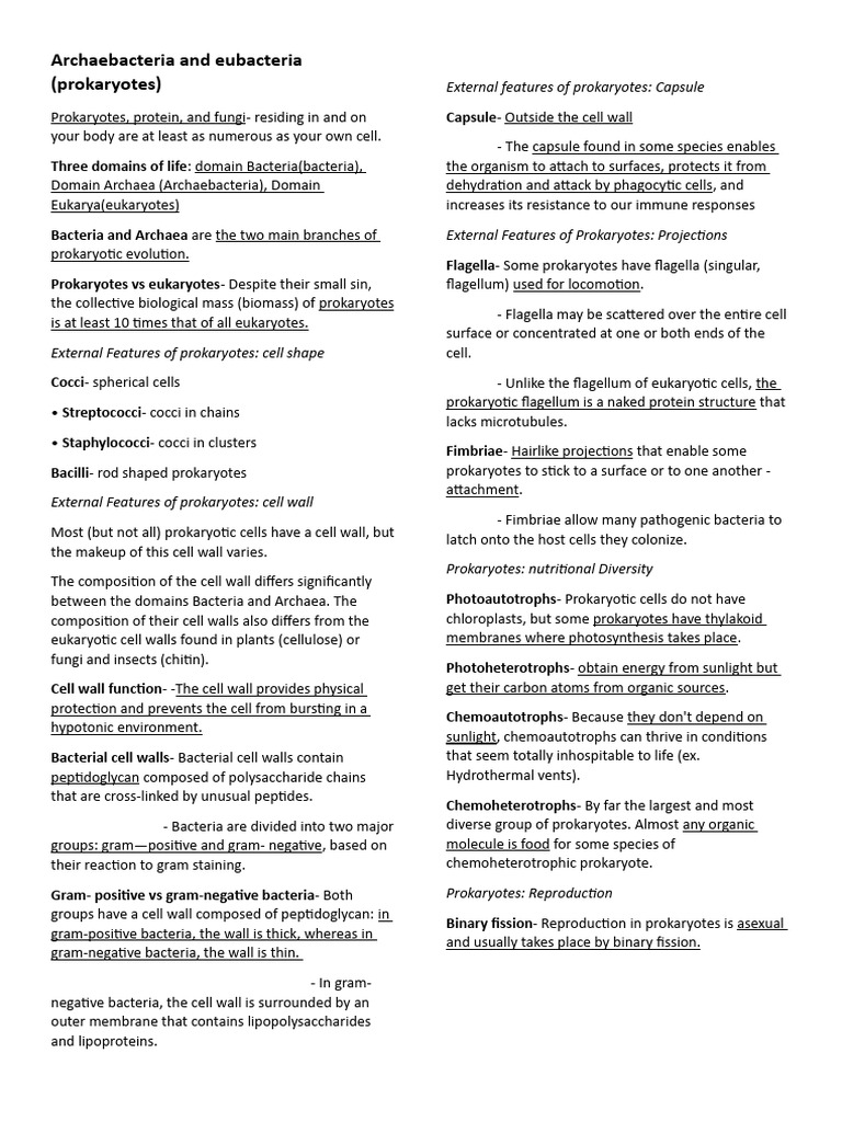 Prokaryotes: Types, Features, and Functions | PDF | Bacteria | Cell ...