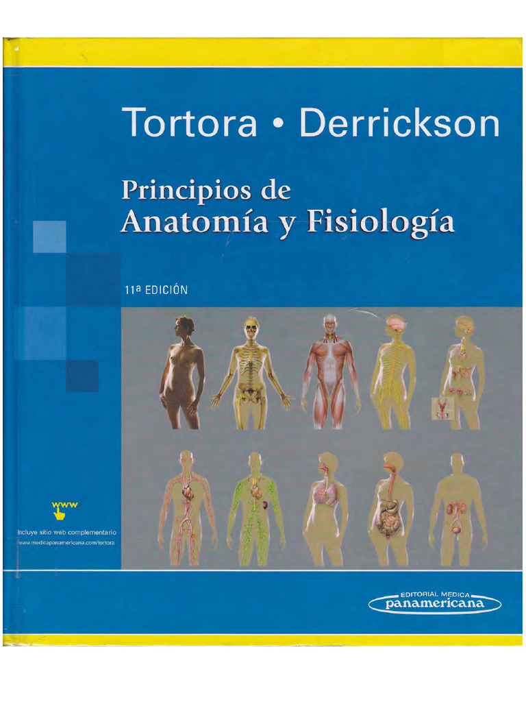 Tortora 11ed Anatomia y Fisiologia Humana | PDF