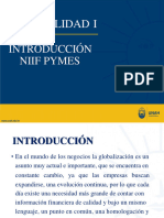 Introducción - NIIF Actualizada 2024