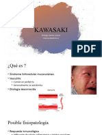 Kawasaki Presentacion
