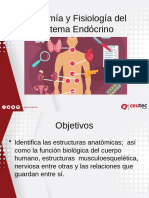 Tema 2 - Anatomía y Fisiología Endócrino