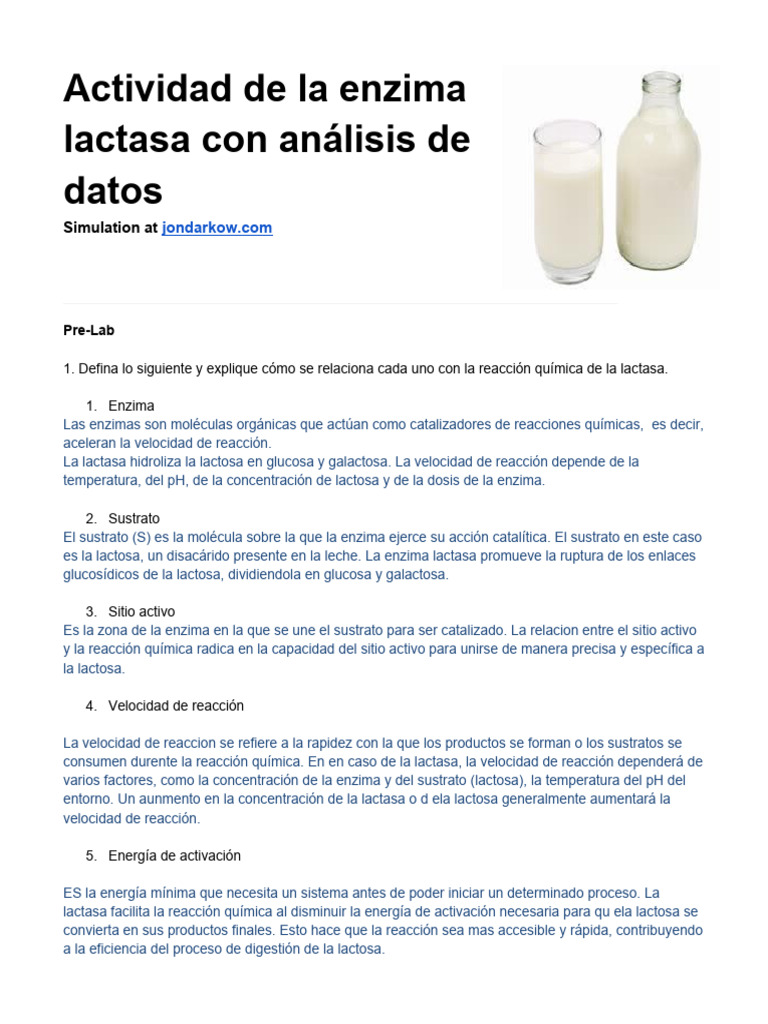 Lactase Enzyme Activity With Data Analysis STELLA PDF Enzima