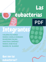 Exposición Sobre Las Eubacterias 
