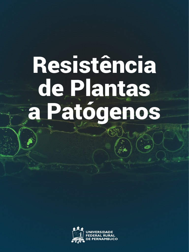 Spice Forest (@spiceforest.com.br) • Facebook, image size:768x1024